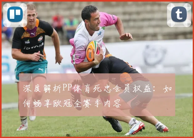 深度解析PP体育死忠会员权益：如何畅享欧冠全赛季内容