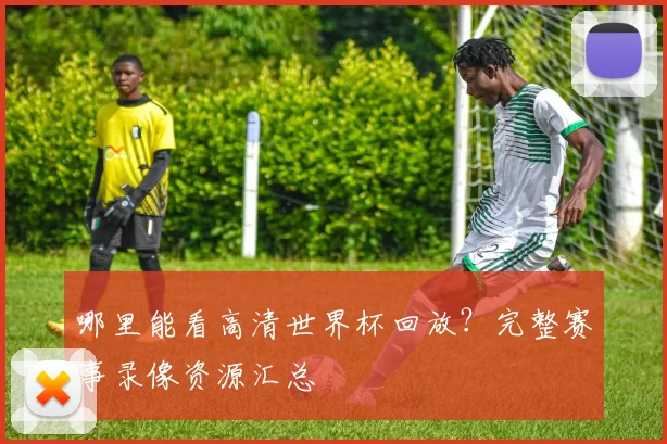 哪里能看高清世界杯回放？完整赛事录像资源汇总