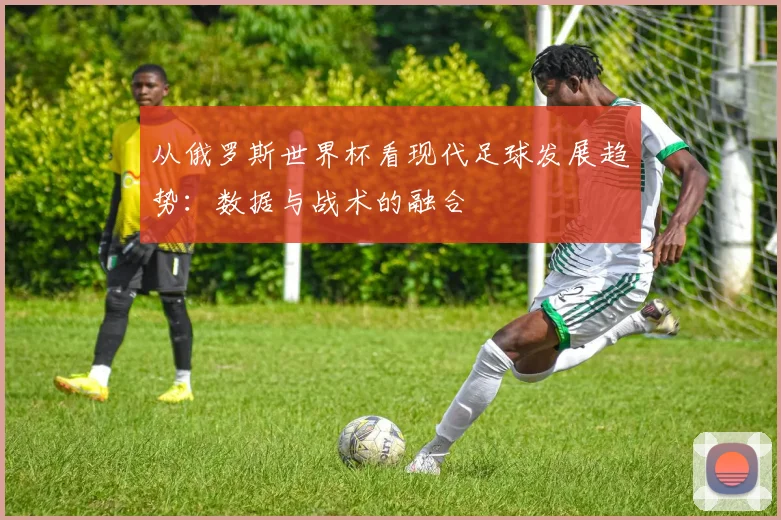 从俄罗斯世界杯看现代足球发展趋势：数据与战术的融合