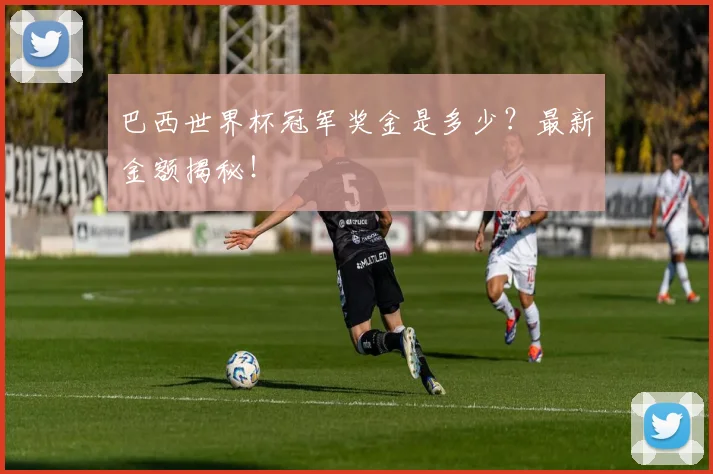 巴西世界杯冠军奖金是多少？最新金额揭秘！