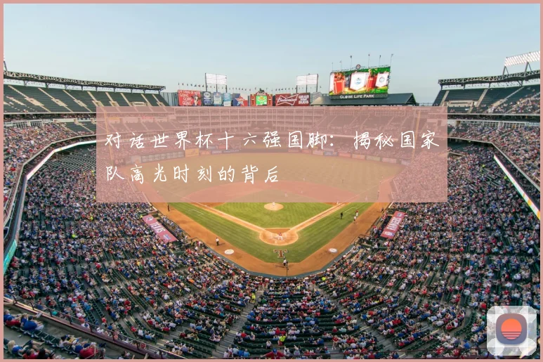 对话世界杯十六强国脚:揭秘国家队高光时刻的背后