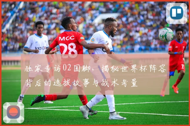 独家专访02国脚，揭秘世界杯阵容背后的选拔故事与战术考量