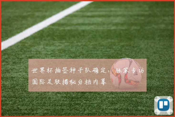 世界杯抽签种子队确定,独家专访国际足联揭秘分档内幕