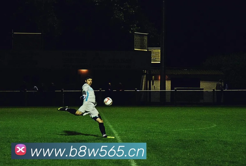 星空体育官方在线登录平台生态图